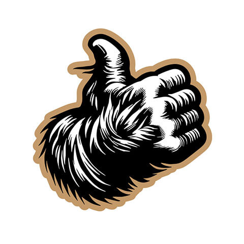 outdoor sport services icon design