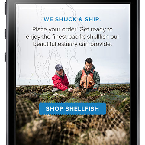 Goose Point Mobile Site