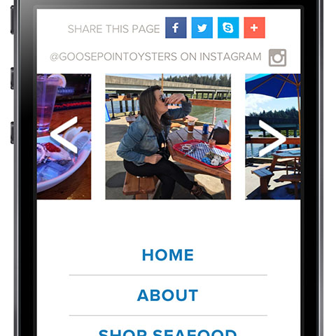 Goose Point Mobile Site
