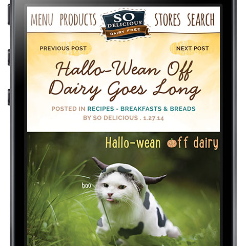 grocery mobile app design